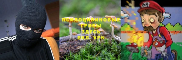 бошки Каменка