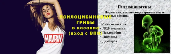 меф Каменск-Шахтинский